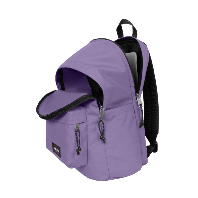 Dahlia Purple